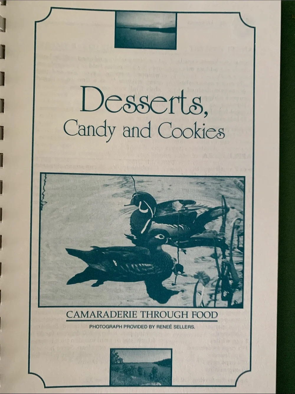 1993 Community Cookbook . From The Ozark Region In Missouri. 9” X 6.50”